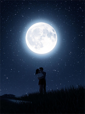 我摘星辰缀她衣（徐清窈裴司鹤）在线免费阅读